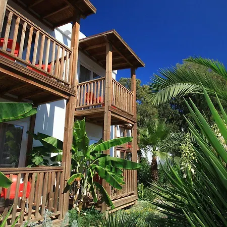 Hotel Marvida Senses Very Chic Bodrum Adult Only Gumbet