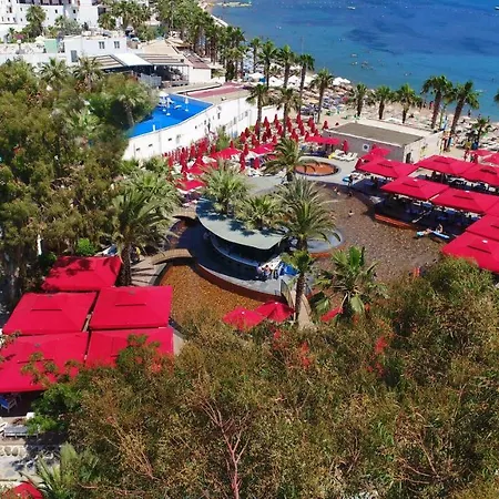 Very Chic Bodrum Adult Only Hotel Gümbet