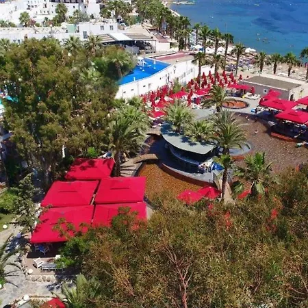 Marvida Senses Very Chic Bodrum Adult Only Otel Gümbet