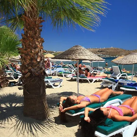 Marvida Senses Very Chic Bodrum Adult Only Otel