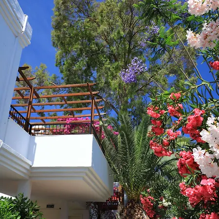 Marvida Senses Very Chic Bodrum Adult Only Otel 5*