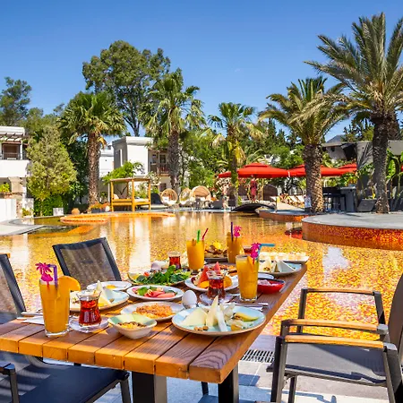Otel Marvida Senses Very Chic Bodrum Adult Only 5*