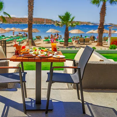 Marvida Senses Very Chic Bodrum Adult Only Gümbet
