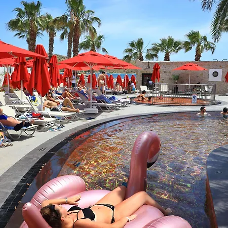 Marvida Senses Very Chic Bodrum Adult Only Otel Gümbet