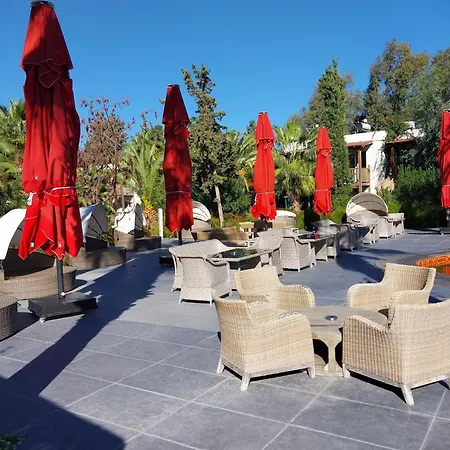 Marvida Senses Very Chic Bodrum Adult Only 5* Gümbet
